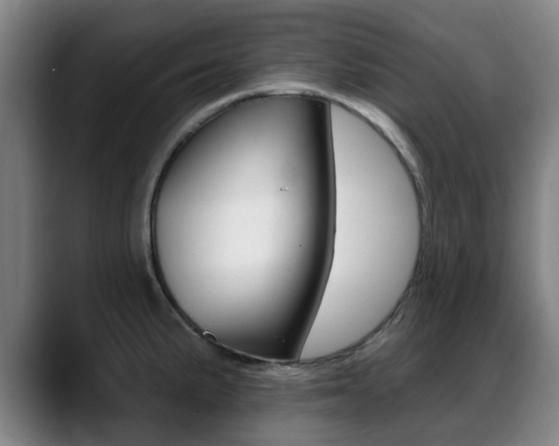 X0000089381191200706150905