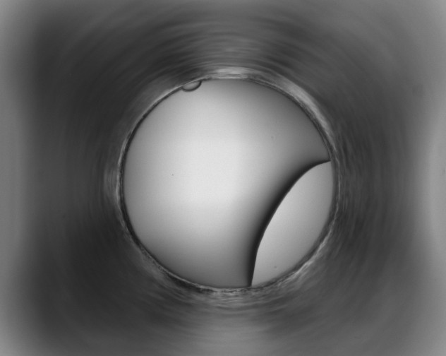 X0000089381194200706150905