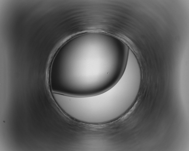 X0000089381196200706150905