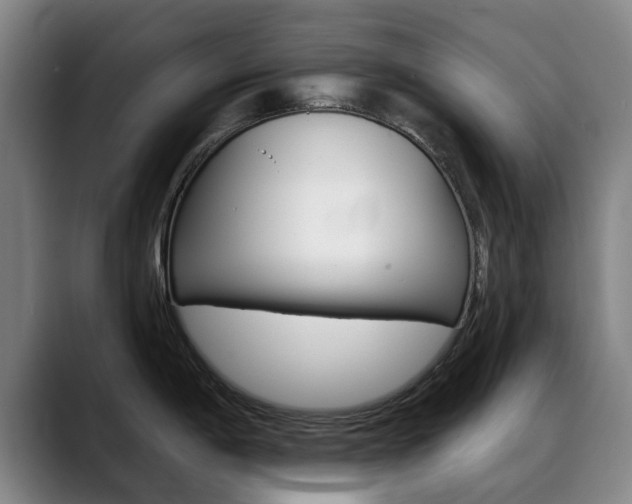 X0000089381198200706150905