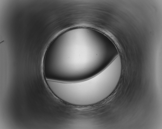 X0000089381199200706150905