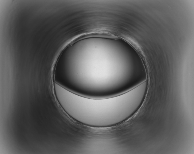X0000089381200200706150905