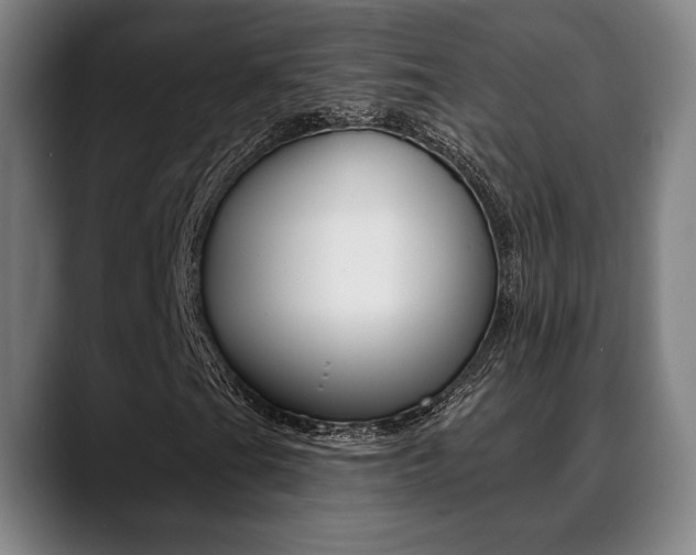 X0000089381201200706150904