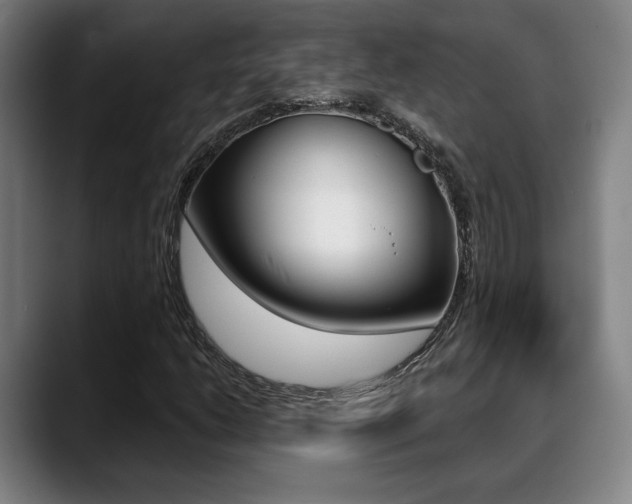 X0000089381206200706150904