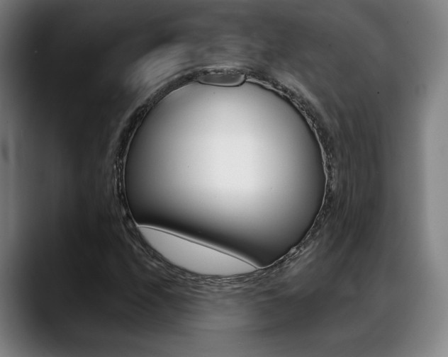 X0000089381208200706150904