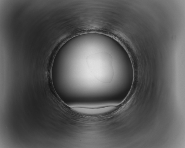 X0000089381210200706150904