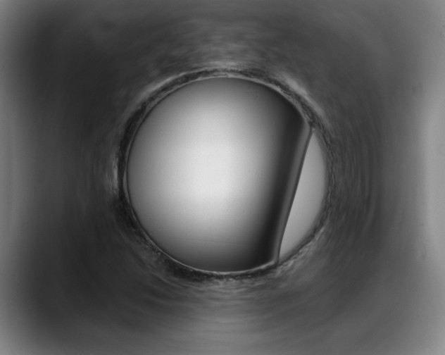 X0000089381214200706150904