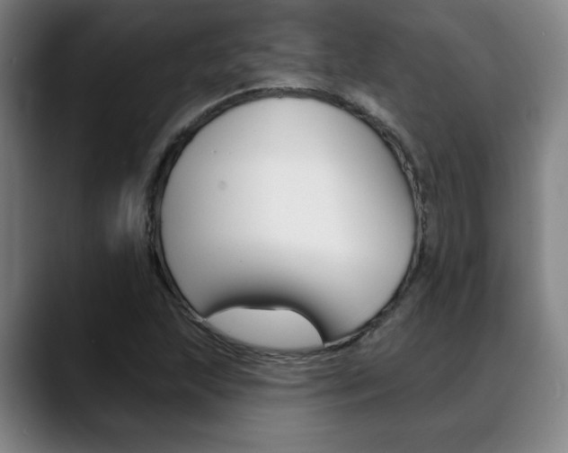 X0000089381215200706150904