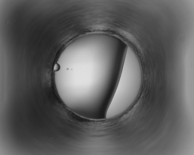 X0000089381217200706150904