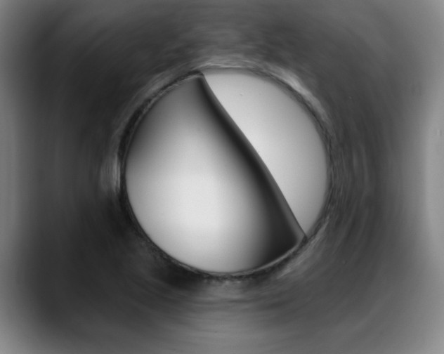 X0000089381221200706150904