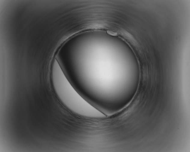 X0000089381226200706150904