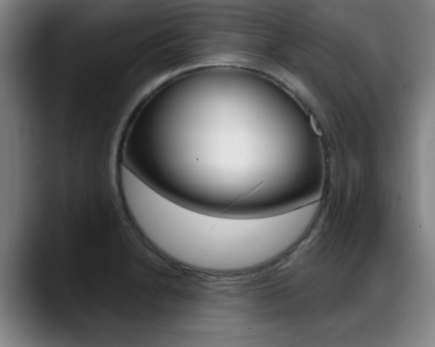 X0000089381230200706150904