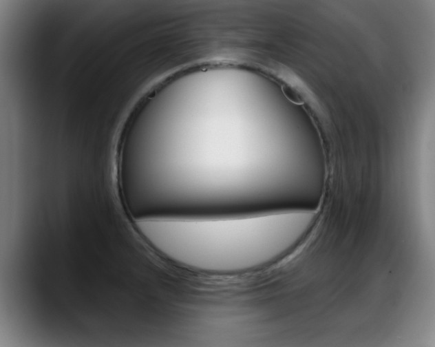 X0000089381232200706150904