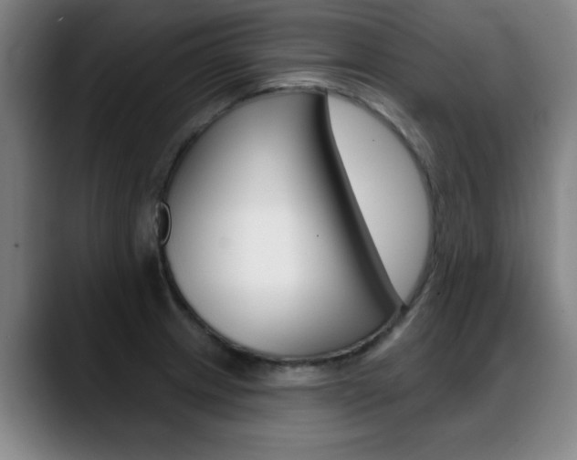 X0000089381233200706150904