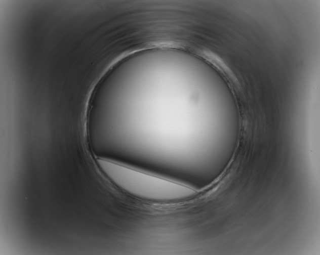 X0000089381236200706150904