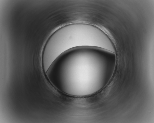 X0000089381238200706150904