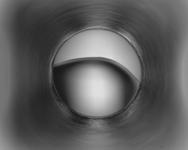 X0000089381242200706150905