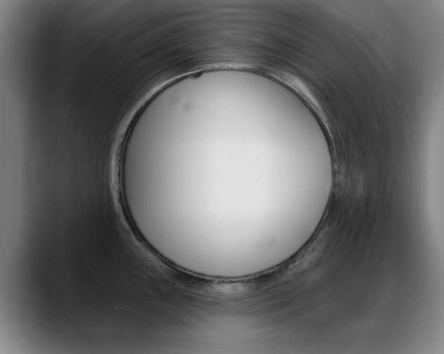 X0000089381243200706150905