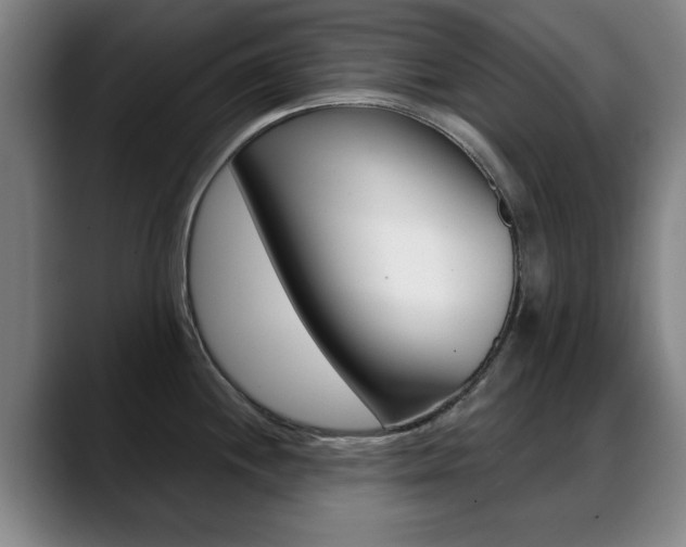 X0000089381244200706150905