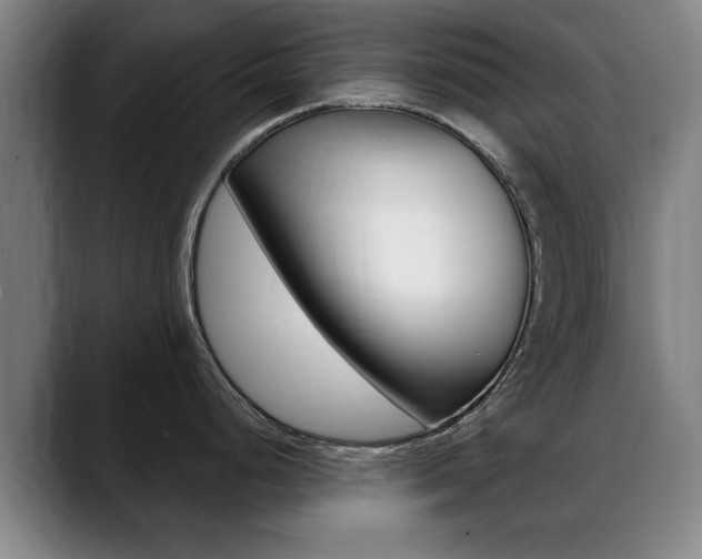X0000089381248200706150905