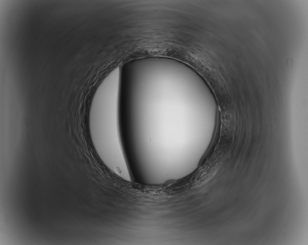 X0000089381249200706150904