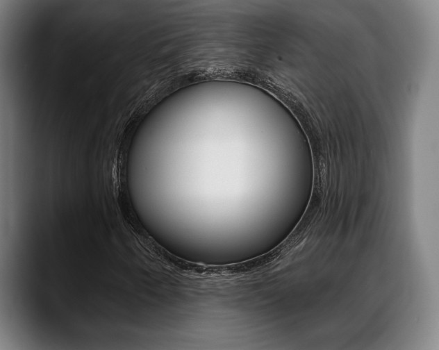 X0000089381250200706150904