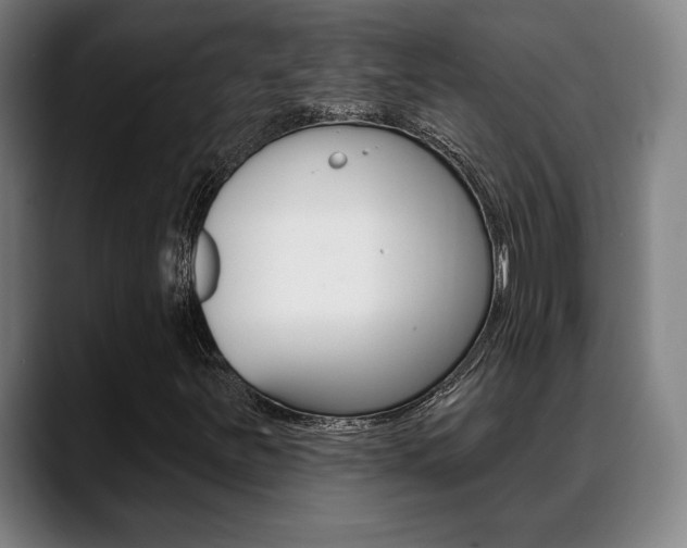 X0000089381251200706150904