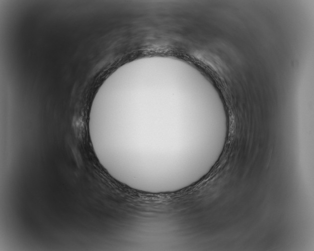 X0000089381254200706150904