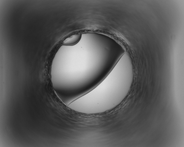 X0000089381256200706150904