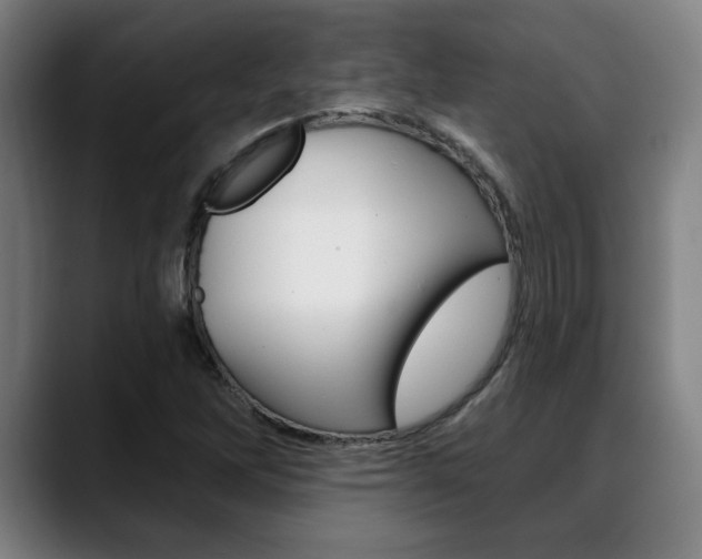 X0000089381262200706150904