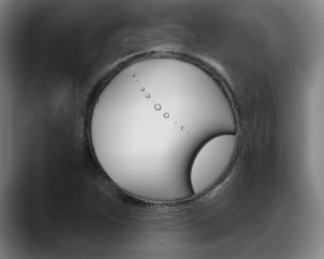 X0000089381263200706150904
