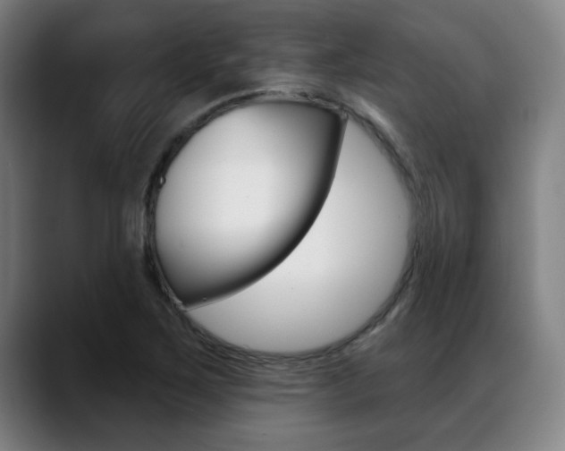 X0000089381267200706150904