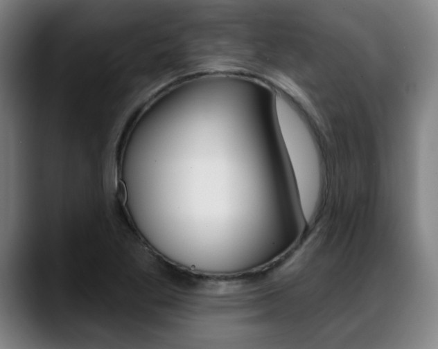 X0000089381269200706150904