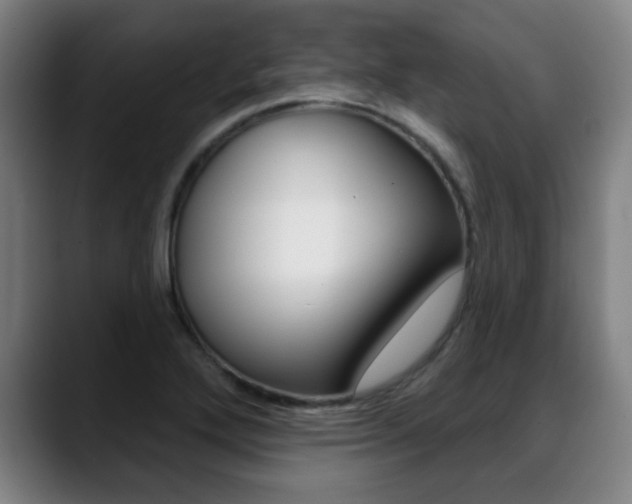 X0000089381272200706150904