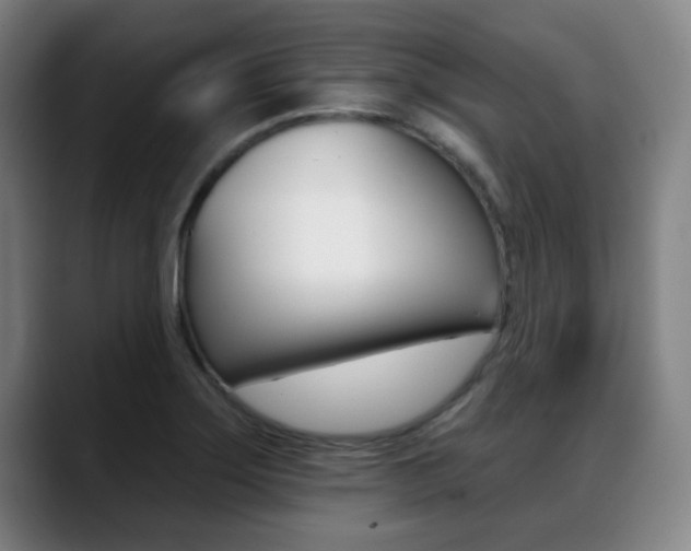 X0000089381275200706150904