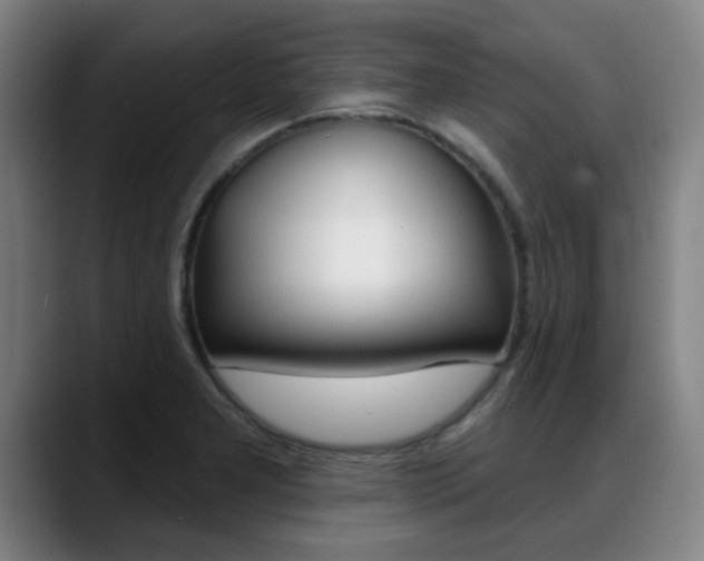 X0000089381277200706150904