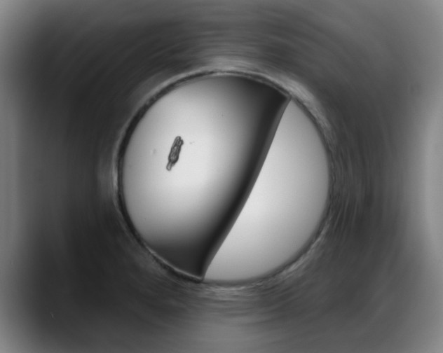 X0000089381280200706150904