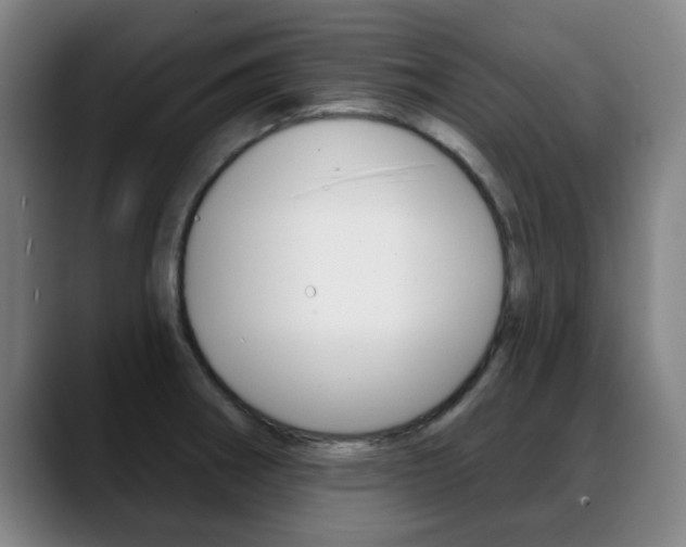 X0000089381282200706150904