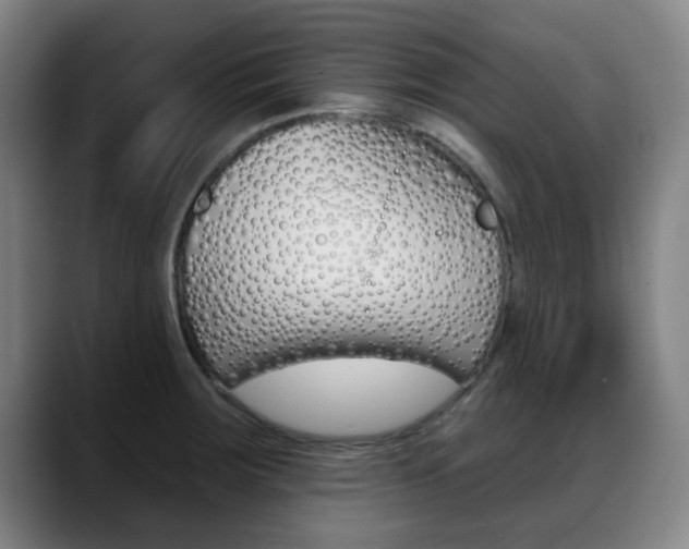 X0000089381283200706150904