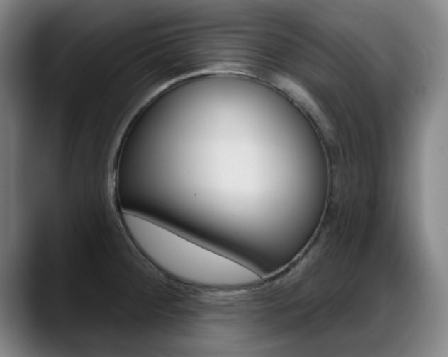 X0000089381284200706150904