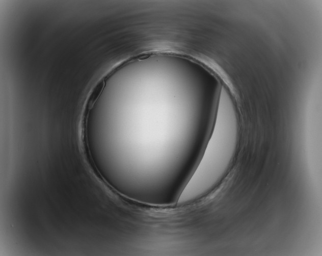 X0000089381285200706150904