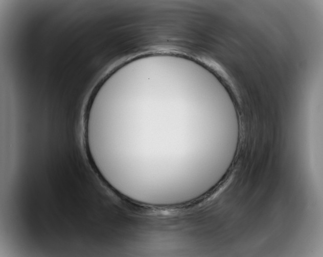 X0000089381286200706150903