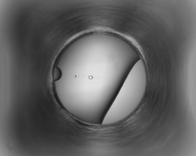 X0000089381287200706150903