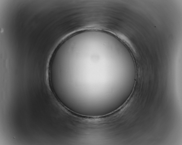 X0000089381288200706150903