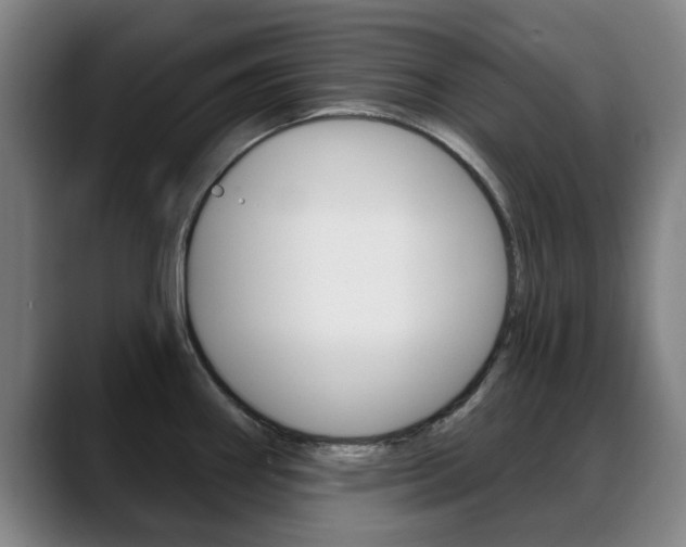 X0000089381290200706150903