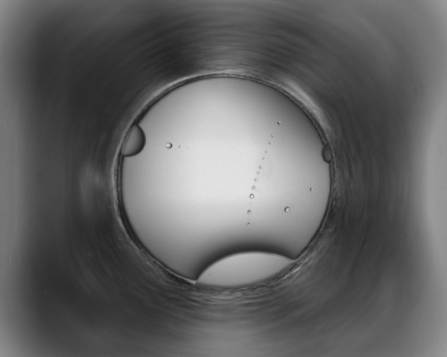 X0000089381291200706150903