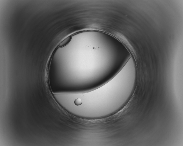 X0000089381292200706150903