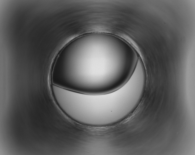 X0000089381293200706150903