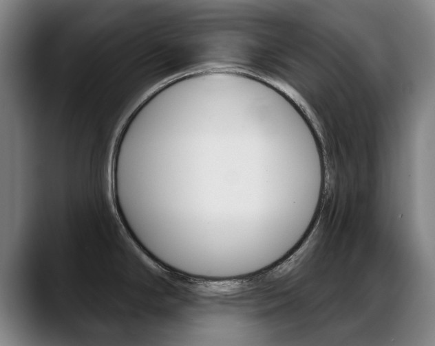 X0000089381294200706150903