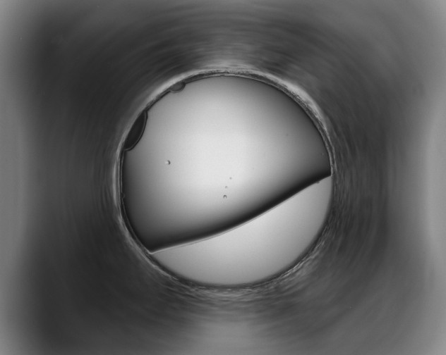 X0000089381295200706150903